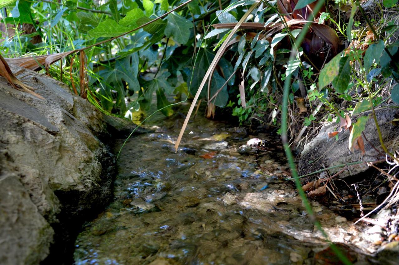 Ecoalbergue Rural De อัลโกโดนาเลส ภายนอก รูปภาพ