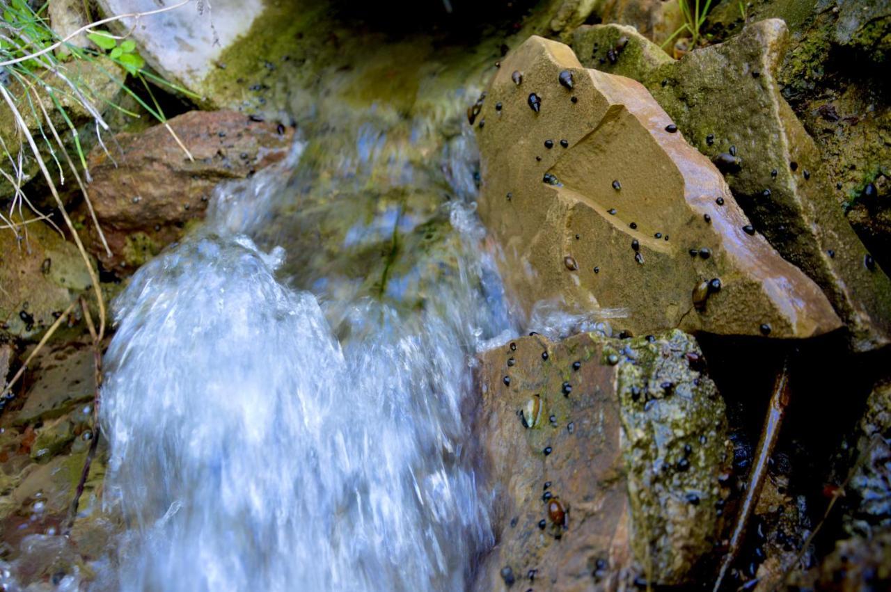 Ecoalbergue Rural De อัลโกโดนาเลส ภายนอก รูปภาพ