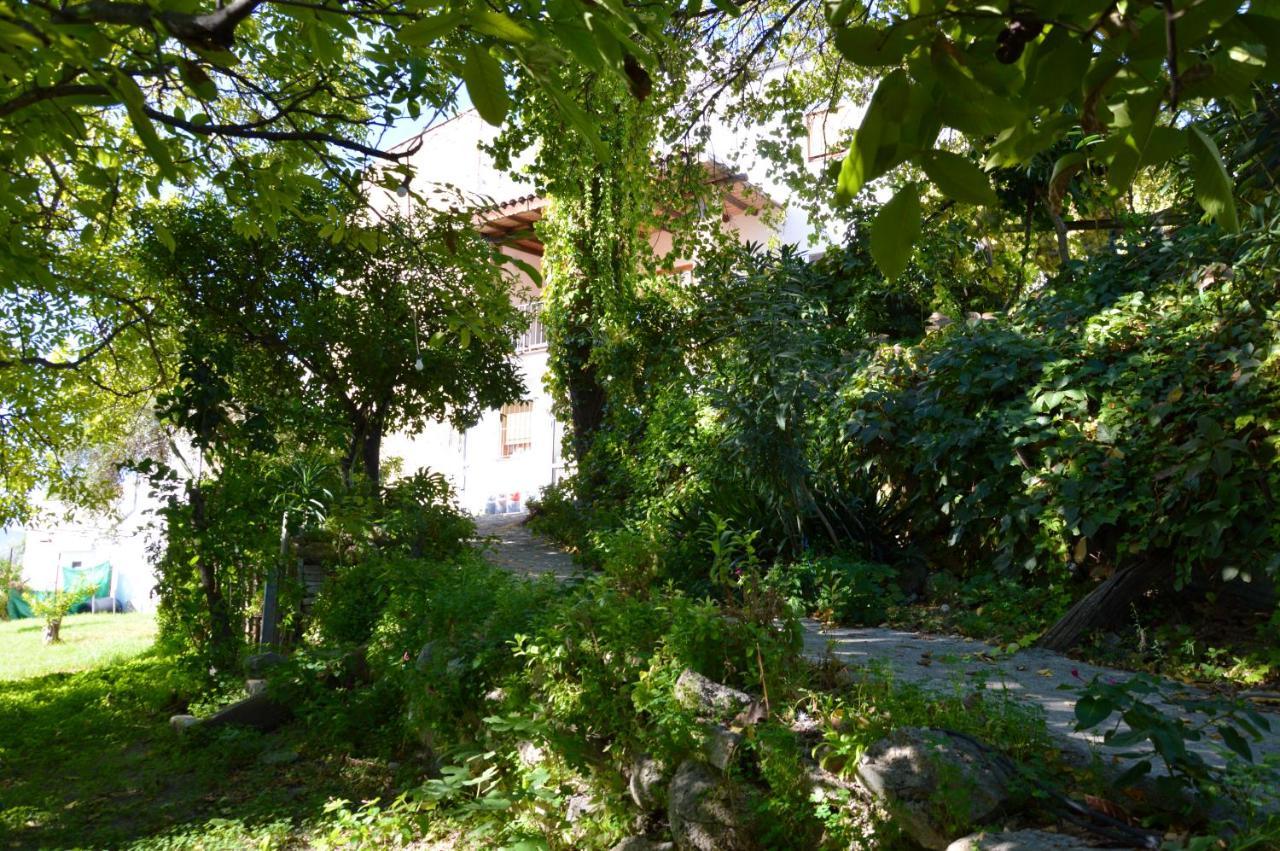 Ecoalbergue Rural De อัลโกโดนาเลส ภายนอก รูปภาพ